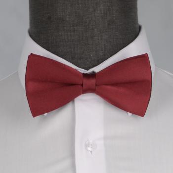 Бабочка мужская 0153