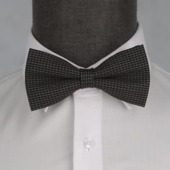 Бабочка мужская 0013