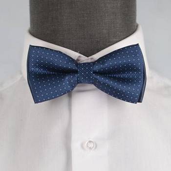 Бабочка мужская 0065