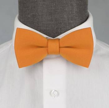 Бабочка мужская с платком 0258