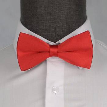 Бабочка мужская с платком 0016