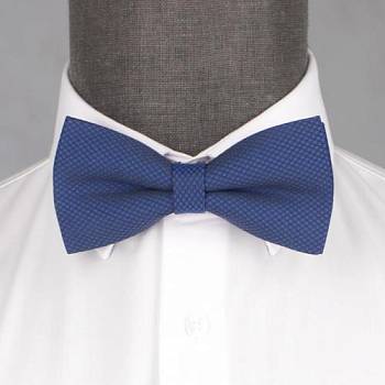 Бабочка мужская 0020